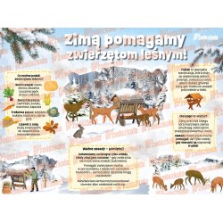 Miesięcznik nr 12.291/2025 - materiały na styczeń