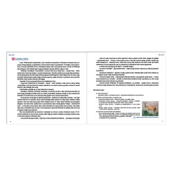 Jak Zuzia Wiktorkowi o zwierzętach leśnych opowiadała