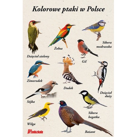 Miesięcznik nr 02.293/2026 - materiały na marzec