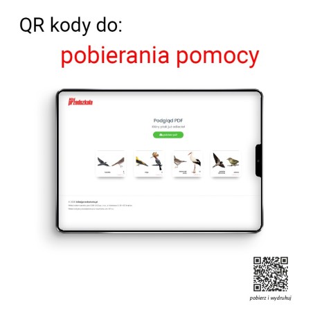 Jesień już puka do drzwi – przedszkolaku baw się i ty!