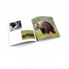 Jak Zuzia Wiktorkowi o zwierzętach leśnych opowiadała. Audiobook CD + konspekty