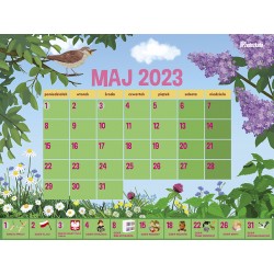 Miesięcznik nr 4.259/2023 - materiały na maj