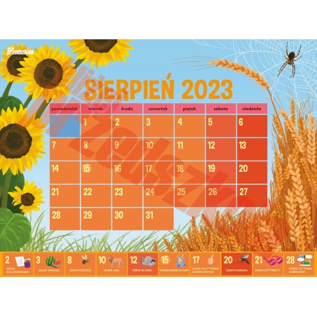 Miesięcznik nr 5.260/2023 - materiały na czerwiec