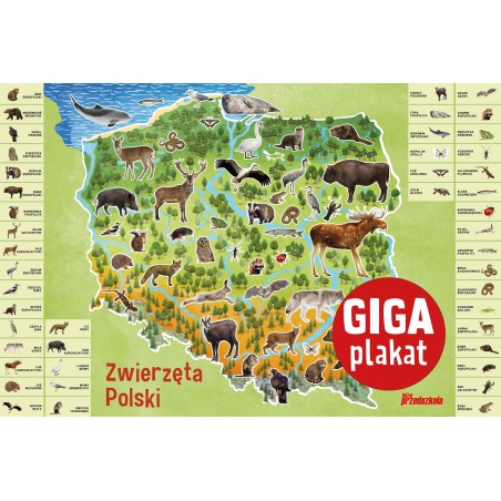 Miesięcznik nr 5.260/2023 - materiały na czerwiec